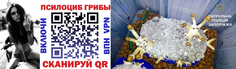 Галлюциногенные грибы GOLDEN TEACHER  Купить где  Видное 